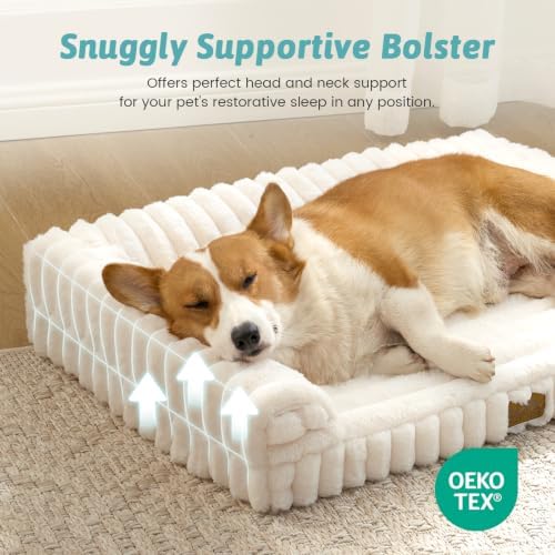 COZY KISS Ultra Soft Faux Rabbit Fur Dog Bed for Medium Dogs – 36"x27" Orthopedic Foam Couch, Removable Washable Cover & Waterproof Lining, Cream