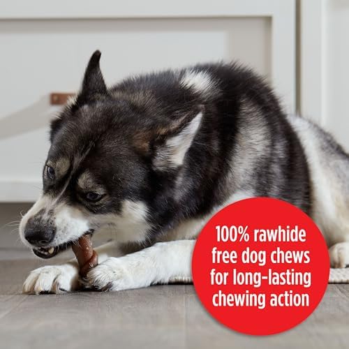 Milk-Bone Flavor Rolls Dog Chews, Chicken Doodle Dandy, 5 Count
