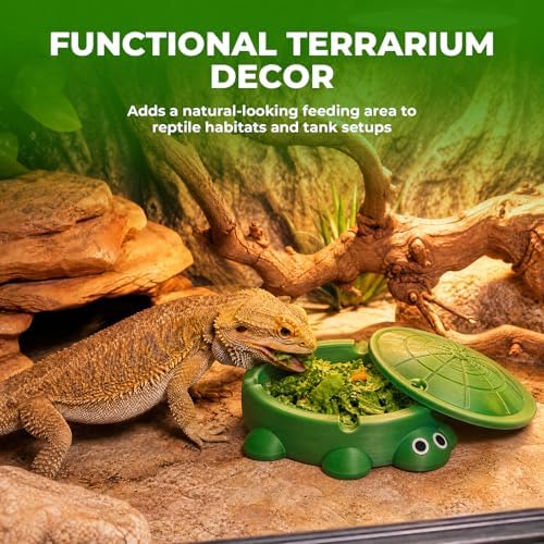 Bearded Dragon Dig Box & Tank Accessory, Turtle Small Reptile Food Dish