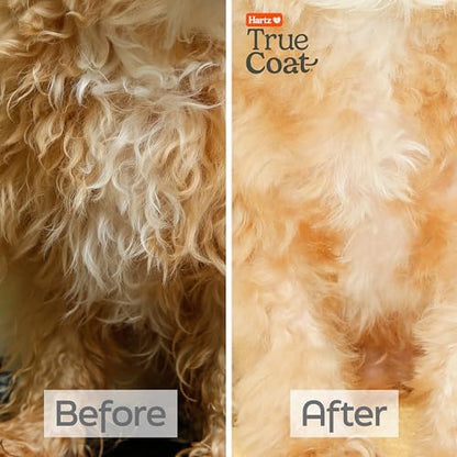 True Coat Curly or Wavy Dog Shampoo, 5 in 1 Detangles & Conditions with Oat Milk, Coconut Oil & Shea Butter, 16 oz