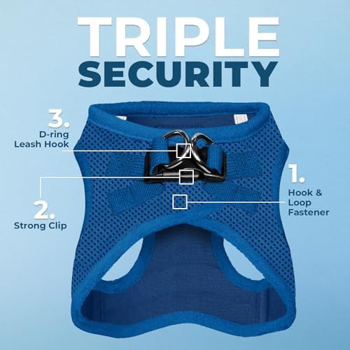 Best Pet Supplies Voyager Step-in Air All Weather Mesh Harness and Reflective Dog 5ft Leash Combo with Neoprene Handle, for Small, Medium and Large Breed Puppies - Royal Blue, Large