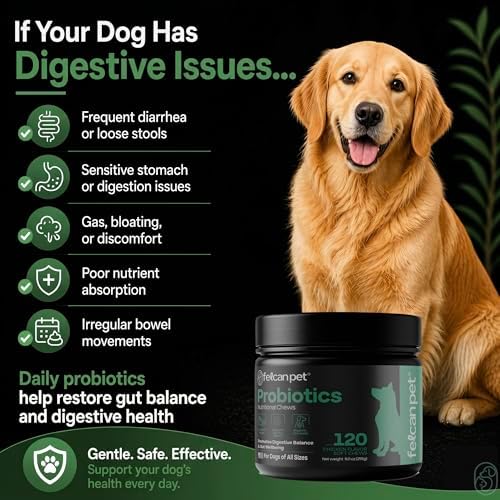 Probiotics For Dogs Soft Chews With Pumpkin, Papaya & Prebiotic Inulin – Dog Probiotic With 6-Strain Blend – Supports Dog Digestive Balance – Gut Health For Dogs – Chicken Flavor, 120 Chews