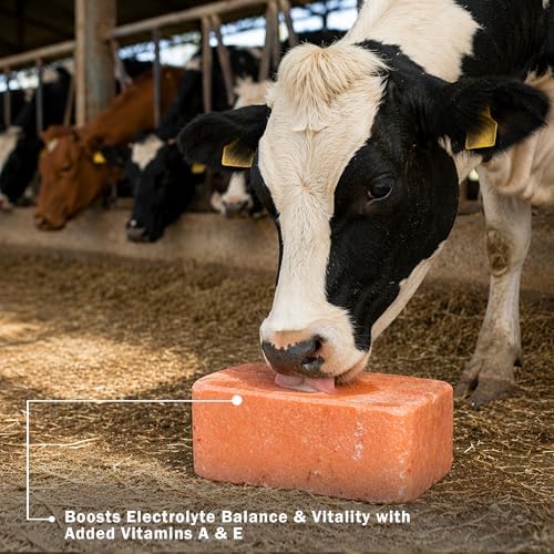 Himalayan Animal Salt Block 5 lb with Vitamins A & E – Fortified Mineral Salt Lick for Horses & Livestock – Compressed Pink Himalayan Block for Stall & Controlled Feeding