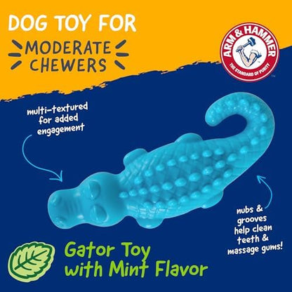 Arm & Hammer Nubbies Gator Dog Dental Chew Toy, Mint Flavor, 24-Pack