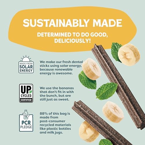 Shameless Pets Bone Broth, Banana & Mint Dental Chews for Dogs, 32 Chews