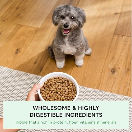 Open Farm Ancient Grains Dry Dog Food, Small Breed Kibble, 4lb Bag