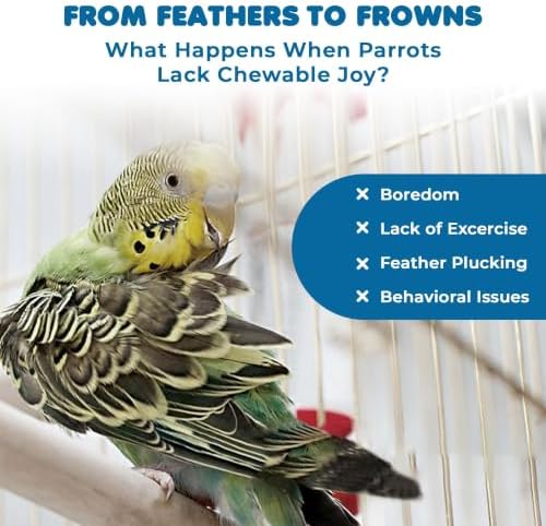 SunGrow Parrot Swing and Perch Bundle, Keep Birds from Hatching Plans for World Domination with Joyful Colorful Items for Love Birds, Conures, Cockatiels, Finches, Parakeets, 12 Pieces