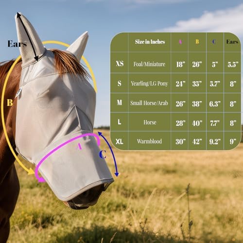 Raelitego Horse Fly Mask with Ears & Nose, Breathable Mesh, UV Protect (M)