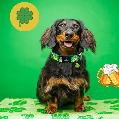 Lionheart glory St. Patrick's Dog Collar-Lucky Clover Shamrock Green Spring Trefoil Dog Collar for Small Dogs Adjustable Heavy-Duty Dogs Collars Pet Gift Female