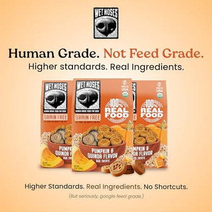 Wet Noses Organic Crunchy Dog Treats Grain Free – All-Natural, Human-Grade, Non-GMO, Healthy Training & Delicious Snacks for Dogs, for All Dog Sizes & Breeds – Pumpkin & Quinoa, 14oz (Single Pack)