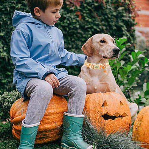 Lionheart Glory Halloween Dog Collar - Pumpkin Pink, Heavy Duty Adjustable Fall Collar for Medium Female or Male Dogs