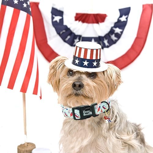 Independence Dog Collar-USA Flag Popsicle Print Pet Collar Adjustable Cute Soft Collars Holiday Comfortable Cotton Puppy Collar Gift for Large Dogs