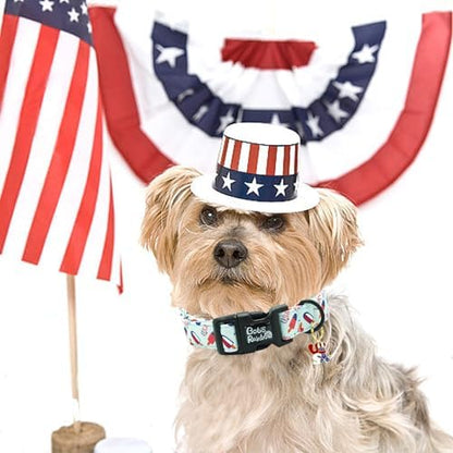 Independence Dog Collar-USA Flag Popsicle Print Pet Collar Adjustable Cute Soft Collars Holiday Comfortable Cotton Puppy Collar Gift for Large Dogs