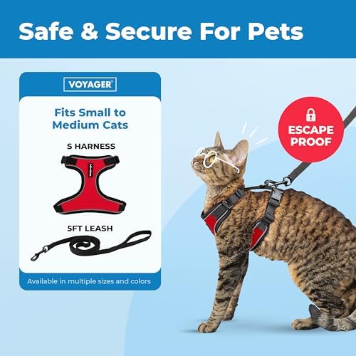 Voyager Escape-Proof Step-in Lock Cat Harness & 5ft Neoprene-Handle Leash Set All-Weather Mesh with Reflective Stitching for Small to Large Cats by Best Pet Supplies, Black Trim-Red (327), S