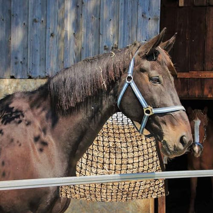 2 PCS Slow Feed Hay Net for Horses,Goats,Sheep,Donkey, Black, 35 x 31 Inch