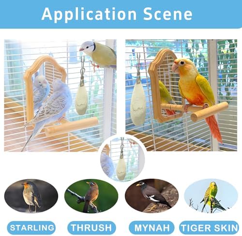 Bird Cuttlebone for Parakeets, Cuddle Bone, Birds Calcium, 3.5"-4", 4 Pcs