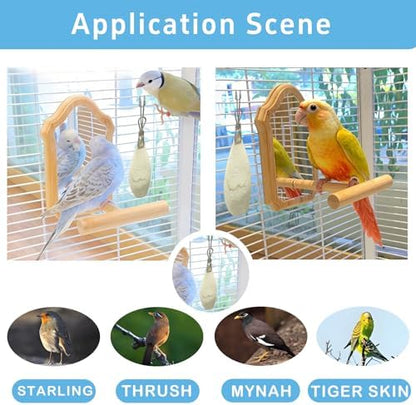 Bird Cuttlebone for Parakeets, Cuddle Bone, Birds Calcium, 3.5"-4", 4 Pcs