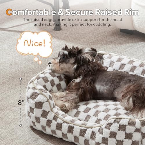 JOEJOY Dog Bed for Large Medium Small Dogs - Rectangle Orthopedic Dog Sofa Bed, Cute Modern Puppy Bed with Jacquard Shaggy Plush & Anti Slip Bottom, 30x24x9inches, Cofffee