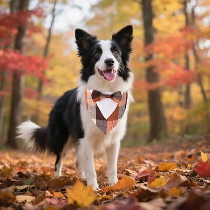 ADOGGYGO Fall Dog Tuxedo Bandana, Plaid Thanksgiving Dog Bow Tie Collar, M