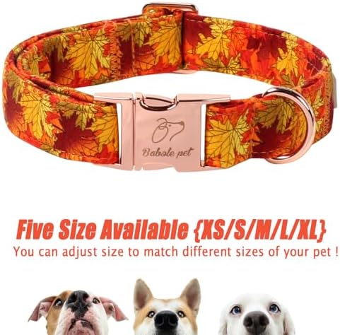 Fall Dog Collar for Large Dogs - Gold Maple Leaves Tanksgiving Puppy Collar, Adjustable Heavy Duty Fall Festivel Cotton Dog Collars with Metal Buckle XL