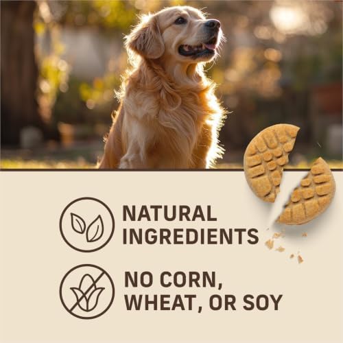 Merrick Oven Baked Paw'Some P'Nut Butter Coookie Dog Treats 11 oz Bag