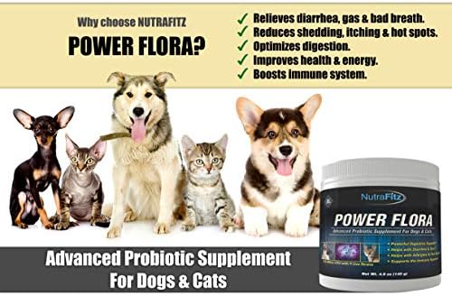 Power Flora - Probiotics for Dogs and Cats with 9 Live Strains - Dog Probiotics Improves Dog Breath, UTI, Diarrhea, Constipation, Skin Allergy, Hot Spots - Odorless Powder - 350 Billion CFU/jar