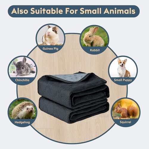 FunFurry Washable Pee Pads for Dogs - 2 Pack Reusable Pee Pads，Waterproof Puppy Pads，Pet Training Pads，Super Absorbent with Dog Paw Shape Non-Slip Backing (Dark Grey, 24" X 36" - 2 Pack)