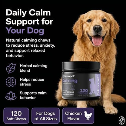 Calming Chews for Dogs – Natural Support for Dog Anxiety, Stress & Relaxation with L-Theanine, Chamomile & Melatonin – Chicken Flavor – 120 Soft Chews