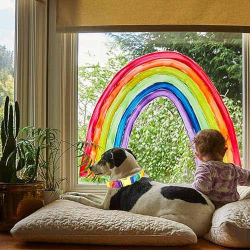 Dog Collar, LGBT for Pride Month Durable Metal Pet Collar Rainbow Girl Boy Dog Collar Adjustable for Small Medium Large Dogs