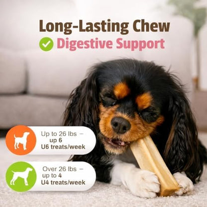 Pet Naturals BusyButter Balanced Belly Peanut Butter Bones, Rawhide-Free Chews for Small Dogs, Long Lasting Chew Bones, Probiotics and Pumpkin for Gut Health, 22 Count