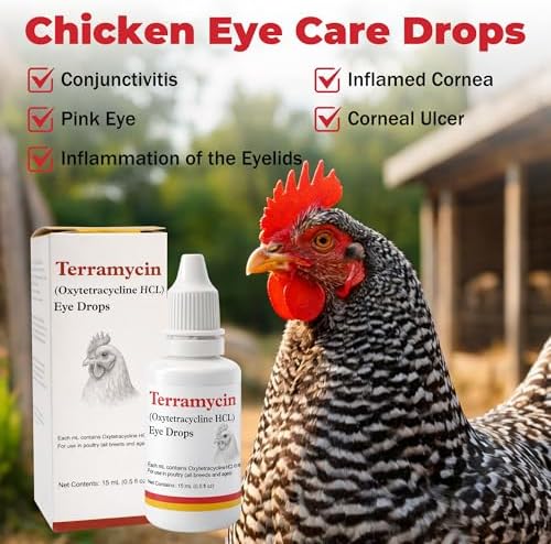 Chickens Eye Care Drops for Chickens, Ducks & Birds – Improve the Eye Health – Improve Egg Quality – Supports Clear Vision & Healthy Eyes – 15 mL (0.5 fl oz)