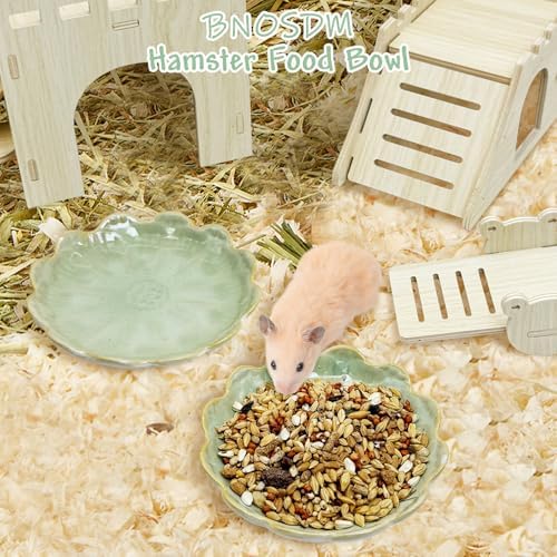 BNOSDM Shallow Ceramic Hamster Food Dish 2 Pcs Small Animals Food Bowl Sunflower Feeding Dishes for Gerbils Mice Rats 4.5in (Green)