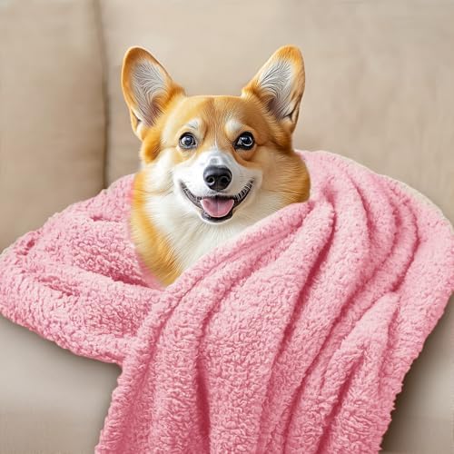 Luciphia 3 Pack Soft Sherpa Fleece Blankets for Dogs Cats Puppies,23"x16"
