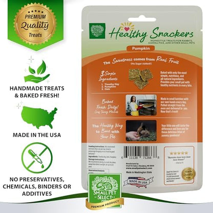 Small Pet Select - Healthy Snackers - Pumpkin (Pack of 2)
