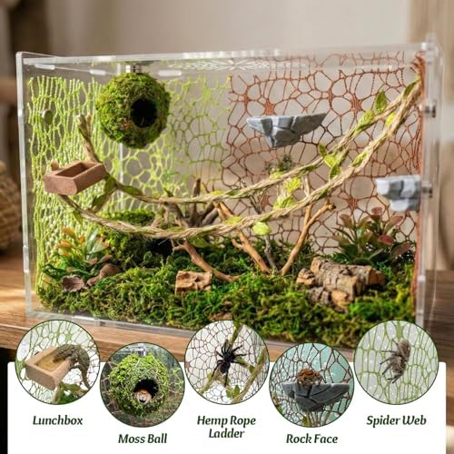Jumping Spider Enclosure Accessories Kit - Magnetic Moss Ball Hideout, 2 Rock Ledges, Feeding Bowl, Climbing Mesh Nets & Rope Ladder - Natural Forest Habitat Decor for Regal (Moss Cave)