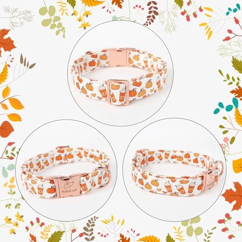 Fall Dog Collar for Small Dogs - Fall Holiday Pumpkin Latte Printed Dog Collars, Adjustable Heavy Duty Pet Collar with Metal Buckle S
