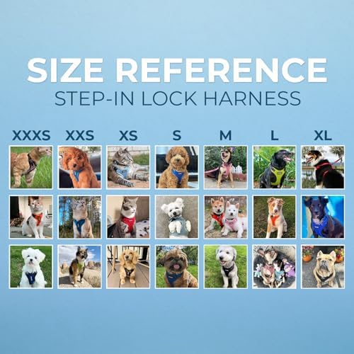 Best Pet Supplies Voyager Step-in Lock Pet Harness w Reflective Pet Leash Combo Set with Neoprene Handle 5ft - Supports Small, Medium and Large Breed Puppies/Cats - Baby Blue, S