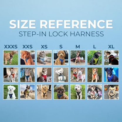 Best Pet Supplies Voyager Step-in Lock Pet Harness w Reflective Pet Leash Combo Set with Neoprene Handle 5ft - Supports Small, Medium and Large Breed Puppies/Cats - Baby Blue, S