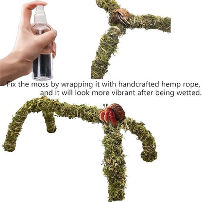 Hermit Crab Accessories – 5PCS Natural Hermit Crab Toys Climbing Bridge, Shells, Coconut Hideout, Moss and Plants for Hermit Crabs Habitat & Reptile Tank Decor