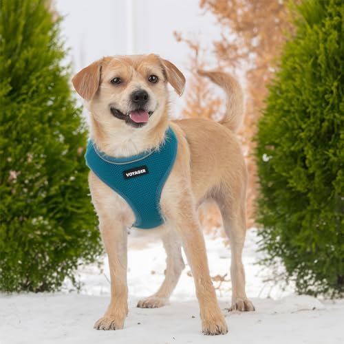 Best Pet Supplies Voyager Aerolite Over the Head Dog Harness, No Pull Breathable Air Mesh Vest, Quick Dry with Reflective Stitching, Adjustable Escape Resistant Harness - Turquoise, Large