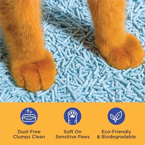 Natural Tofu Cat Litter, Fast Clumping and Scoops Easy, Dust-Free, Low Tracking, Quick Drying & Odor Control, Eco-Friendly Plant-Based Cat Litter 5.5lb/88oz – Linen Breeze (2 Pack)