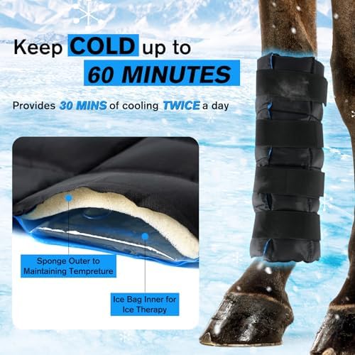 Ice Boots for Horses, Horse Ice Boots, Black & Blue, 4 Pack
