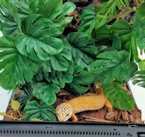 Fake Reptile Plants for Terrarium ,Tank Decor,Artificial Plant