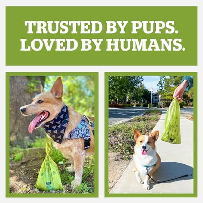 Pogi’s Dog Poop Bags with Handles – Extra-Thick, Leak-Proof, Large, Unscented, 900-Count