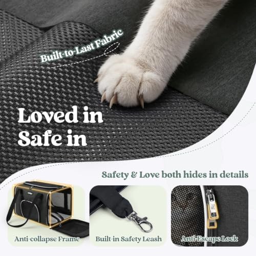 rabbitgoo Cat Carrier Soft with Safety Buckles, Sturdy Comfortable Pet Bag