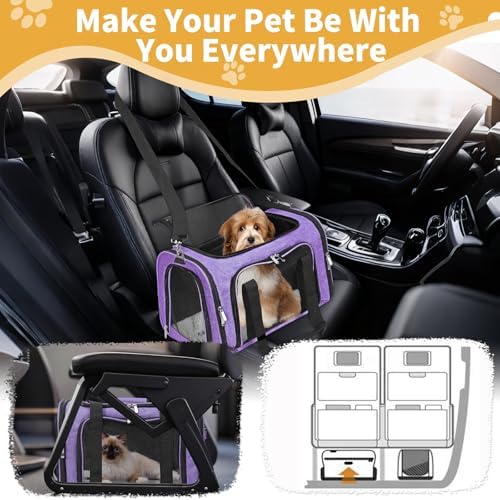 Soft-Sided Cat/Dog/Pet Carrier, Collapsible Pets Travel Carriers