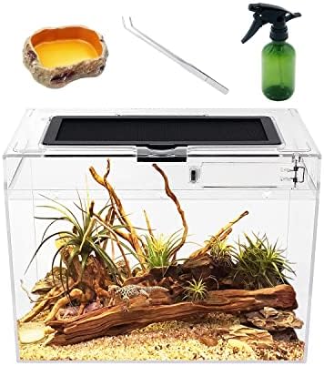 Reptile Growth Mini Reptile Terrarium,12" x 7"x 9" Reptile Tank with Full View Visually Appealing，for Insect，Fish，Tarantula，Hermit crab，Jumping spider，Iguana，Tortoise，Leopard Gecko，Frog，Bearded dragon