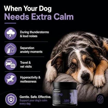 Calming Chews for Dogs – Natural Support for Dog Anxiety, Stress & Relaxation with L-Theanine, Chamomile & Melatonin – Chicken Flavor – 120 Soft Chews