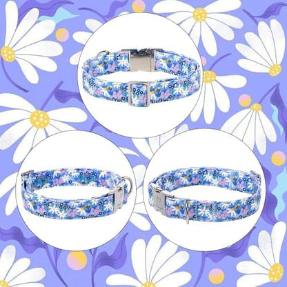 Floral Dog Collar, Cute Blue Wildflowers Dog Collars - Soft Adjustable Spring Summer Everyday Collars for Small Medium Large Dogs, Cottagecore Bloom Dogs Collar S