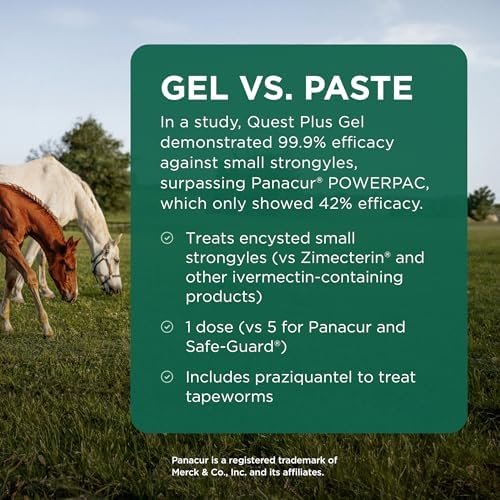 Quest Plus (moxidectin/praziquantel) Gel Dewormer for Horses, 0.5 oz